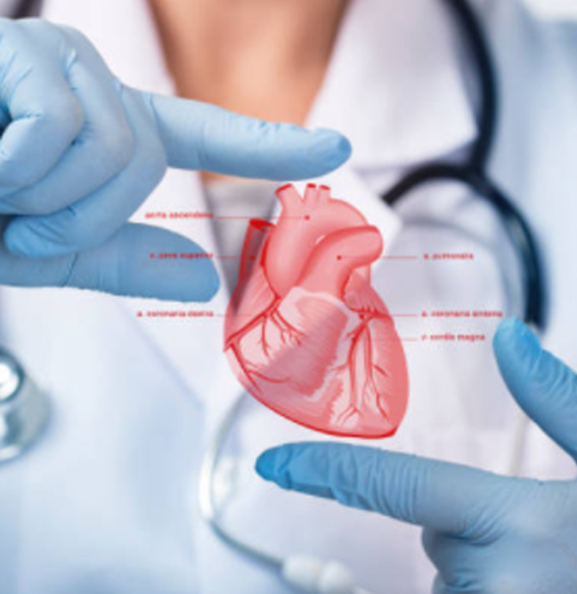 ¿Qué es la cardiología?