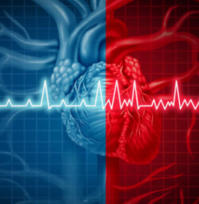 Cuánto cuesta la consulta de un Cardiólogo en Cabo San Lucas Baja California Sur