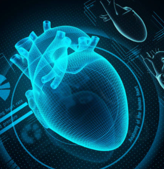 ¿Cómo encontrar al mejor cardiólogo en Cabo San Lucas Baja California Sur?