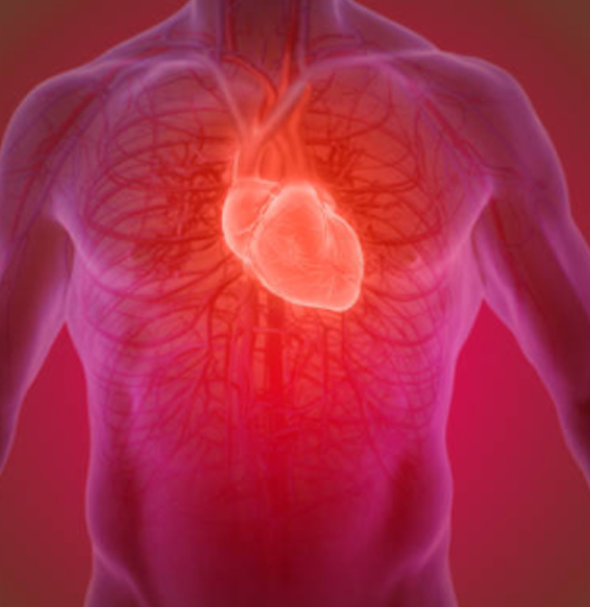 ¿Cómo encontrar al mejor cardiólogo intervencionista?