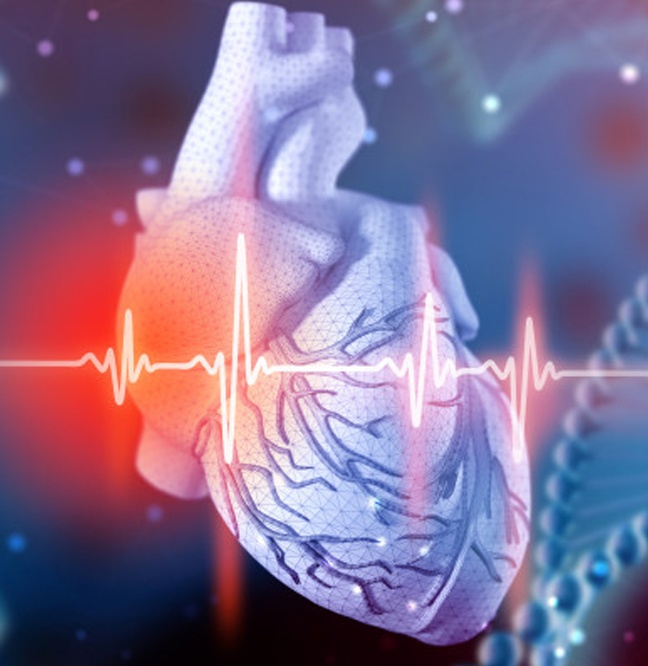 Especialista en cardiología en Los Cabos
