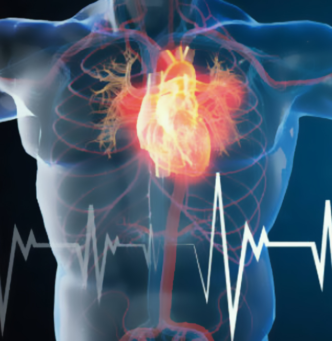 Médico Cardiólogo