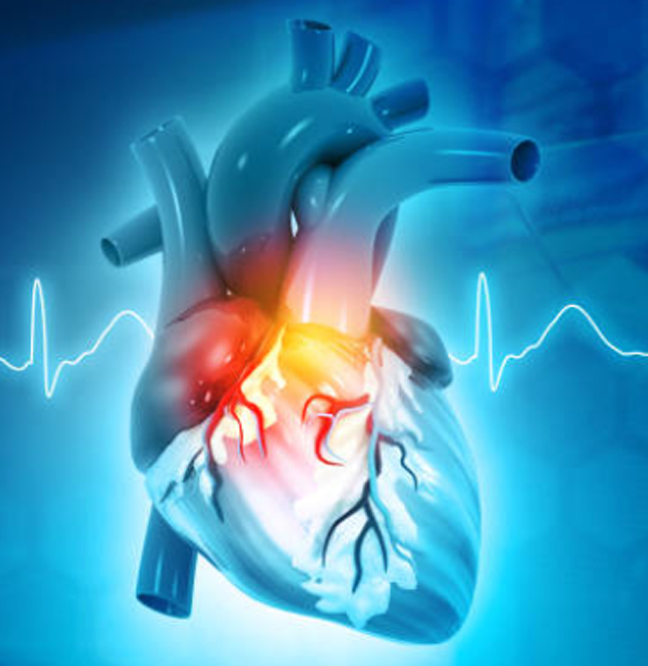 ¿Qué es la cardiología?